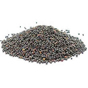 Rapeseed