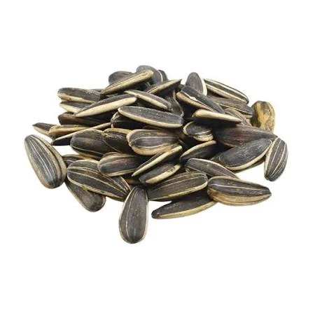 Sunflower Seed